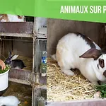 Escapade A La Ferme Horbourg-Wihr