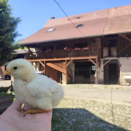 Chez Marguerite A La Ferme Apartment Horbourg-Wihr