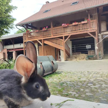 Escapade A La Ferme * Horbourg-Wihr