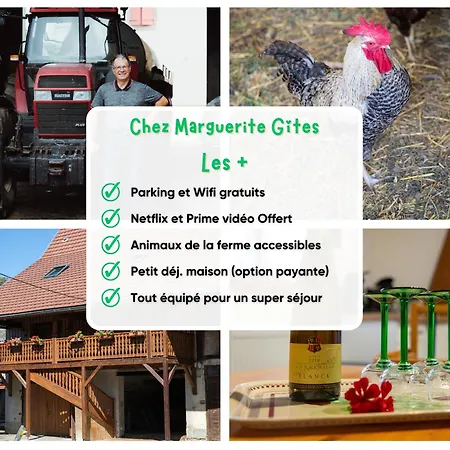 Appartement Chez Marguerite A La Ferme *