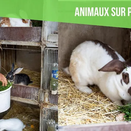 Escapade A La Ferme Horbourg-Wihr