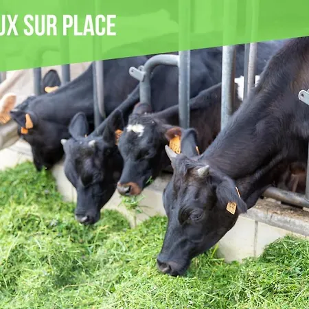 Chez Marguerite A La Ferme * Horbourg-Wihr