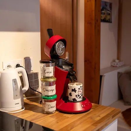 Chez Marguerite A La Ferme Διαμέρισμα Horbourg-Wihr