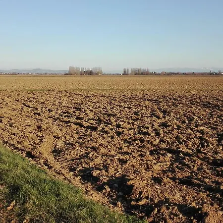Appartement Chez Marguerite A La Ferme Horbourg-Wihr