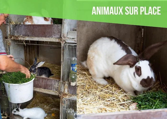 Escapade A La Ferme Horbourg-Wihr
